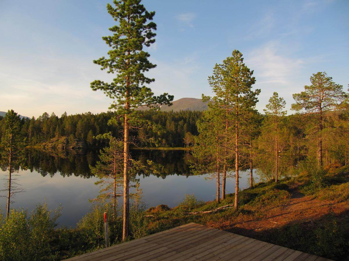 Malangen Lodge Мейстервик Экстерьер фото