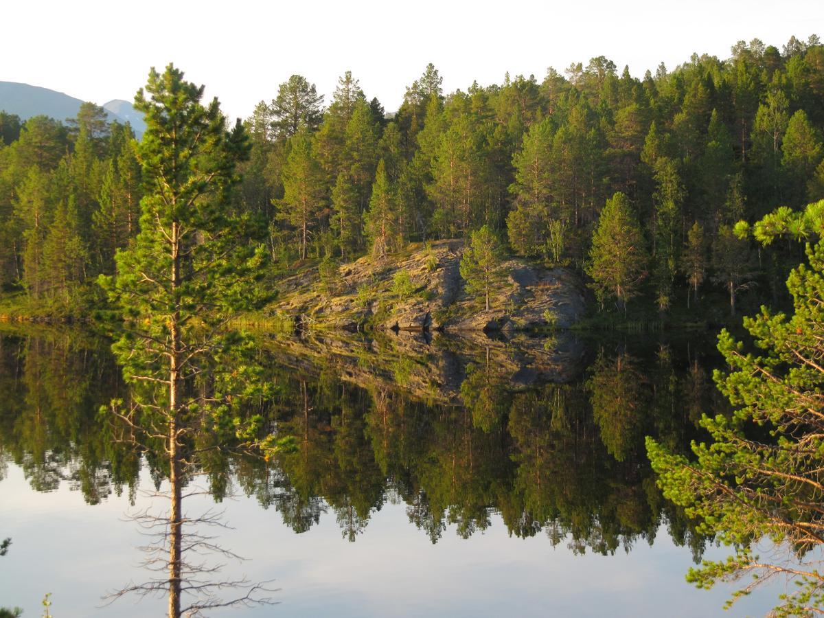 Malangen Lodge Мейстервик Экстерьер фото