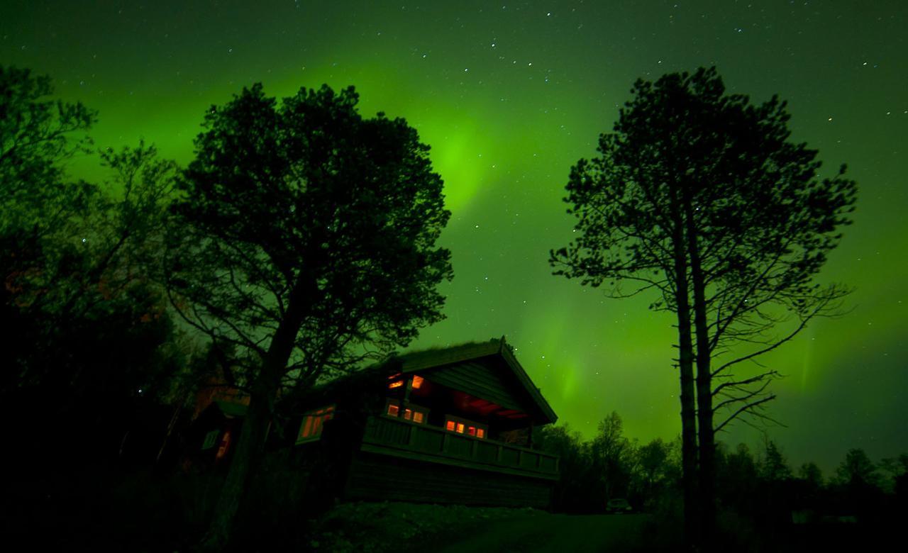 Malangen Lodge Мейстервик Экстерьер фото